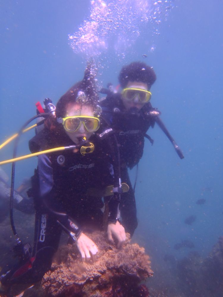 バリ島でハネムーン