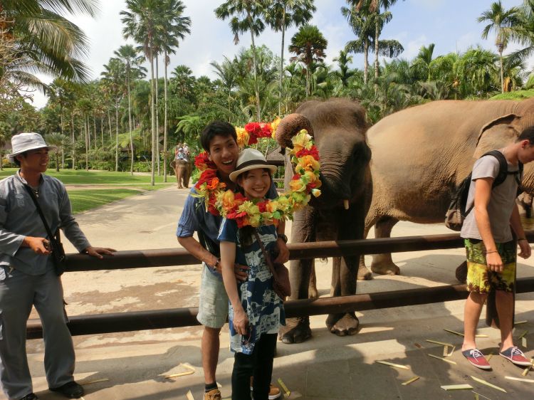 バリ島ハネムーン