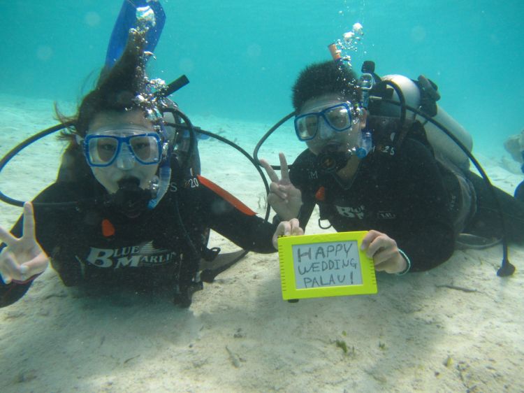 パラオハネムーン