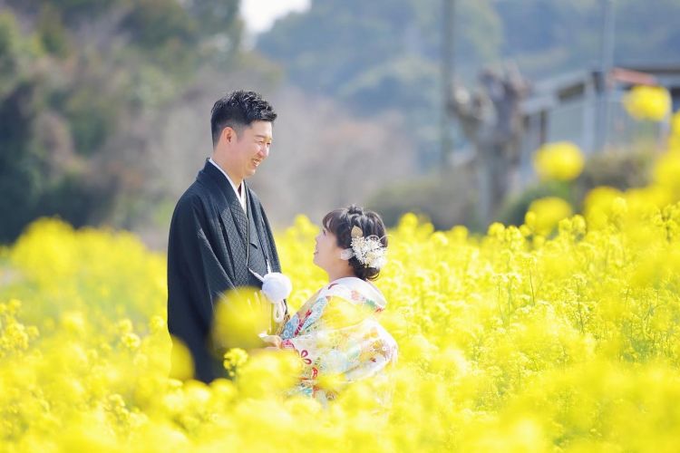 菜の花畑で前撮り