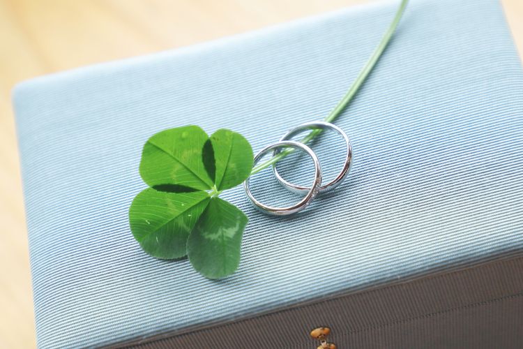 フォトウェディング