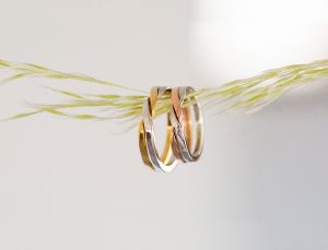 有限会社ドットイメージ１２