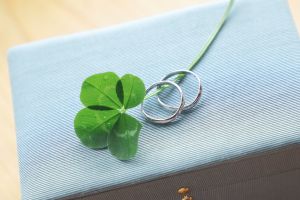 KMフォトオフィス